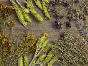 mélange plantes sur mesure cheval phytothérapie