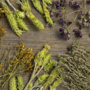 mélange plantes sur mesure cheval phytothérapie
