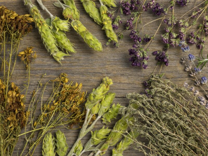 mélange plantes sur mesure cheval phytothérapie