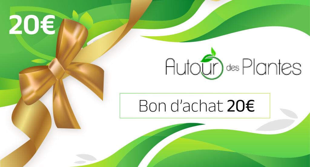 bon cadeau achat phytothérapie