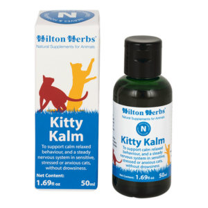 promotion kitty kalm