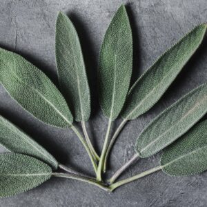 Feuilles de sauge affections buccales 50g