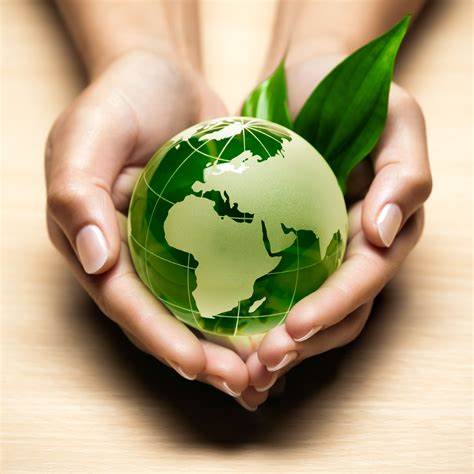 ecologie ecologie