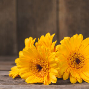 Gratteron et calendula (souci) 250g système lymphatique