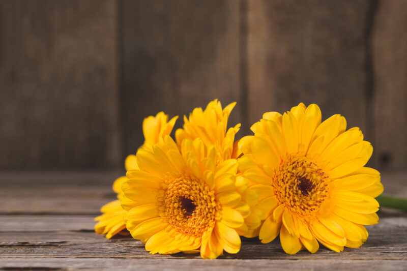 Gratteron et calendula (souci) 250g système lymphatique