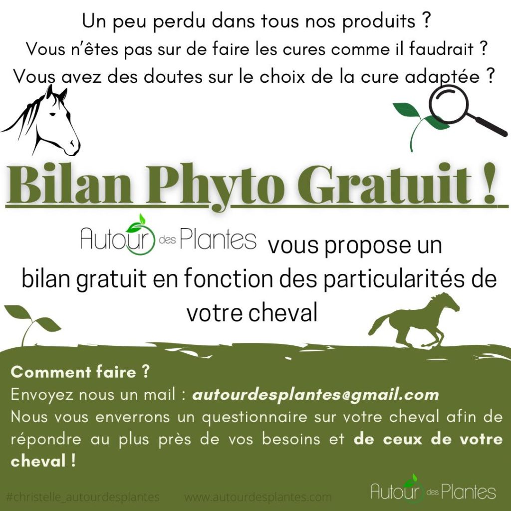 bilan de phytothérapie