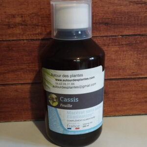 macérât cassis autour des plantes