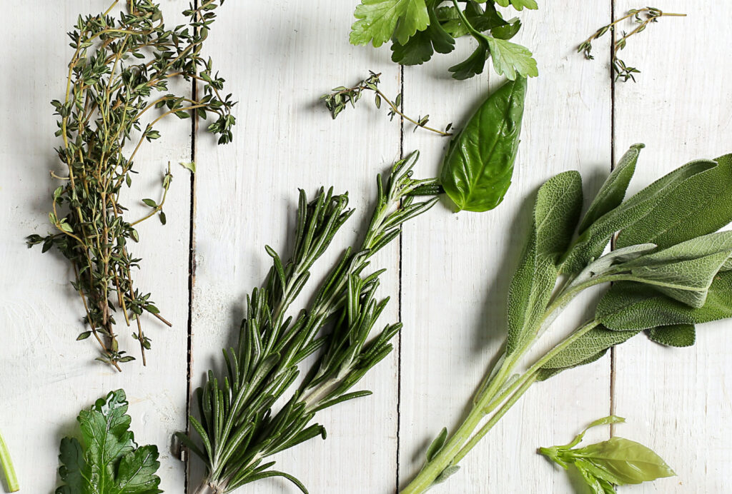 mélange de 5 plantes sur mesure de plantes chien