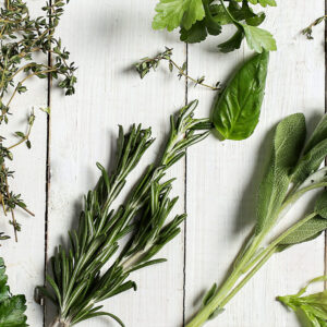 mélange de 5 plantes sur mesure de plantes chien