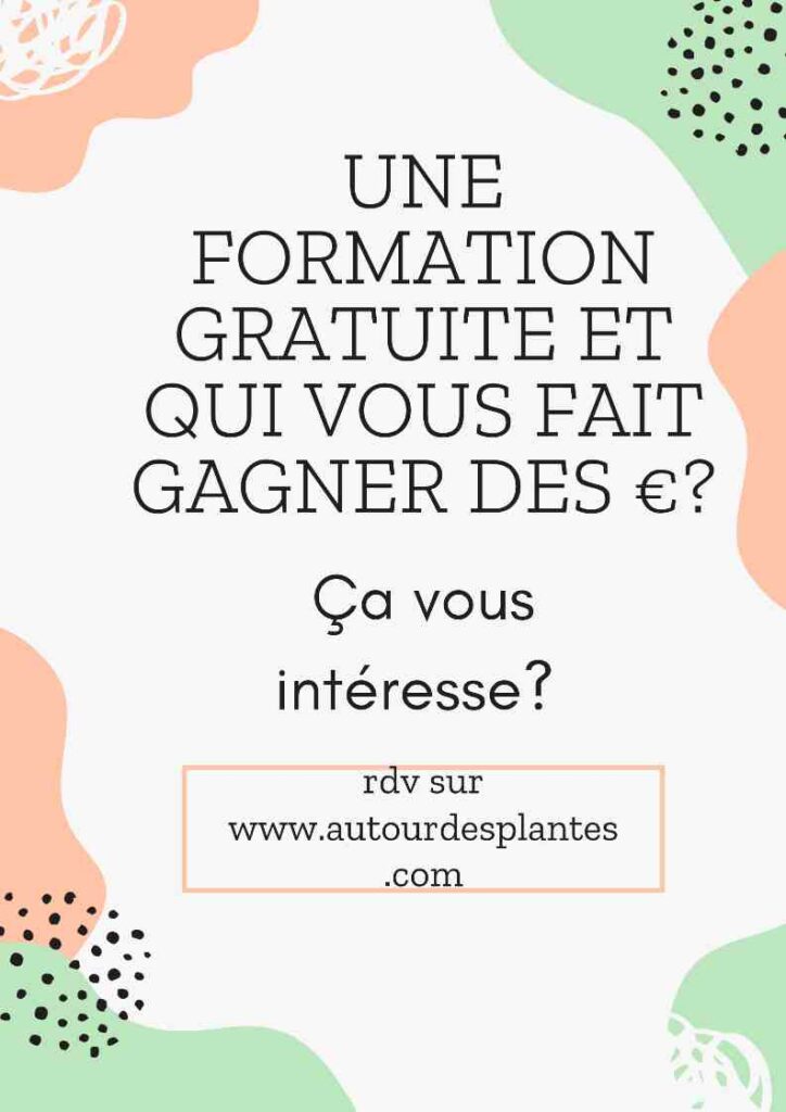 formation phytothérapie