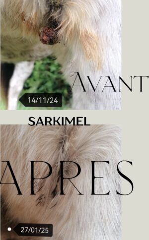sarkimel sarcoide cheval mélange phytothérapie