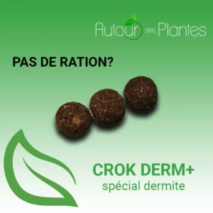 crok dermite phytotherapie friandises cheval