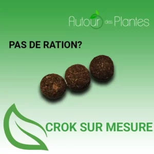 crok sur mesure cheval sans ration