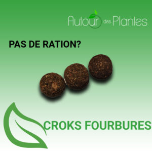 croks friandise fourbure cheval phytothérapie Autour des Plantes