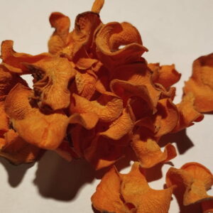 crok pomme carotte friandise chien et cheval