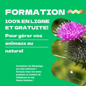 formation whatsapp gratuite phytothérapie