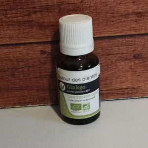 Ginkgo Bio Vieillissement circulation Vue Mémoire Fatigue 15ml