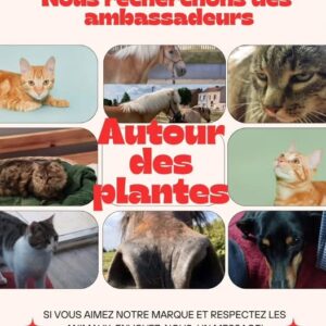 Devenir ambassadeur de notre marque et gagner des euros