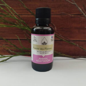 mélange plantes fleur de bach adaptation animal